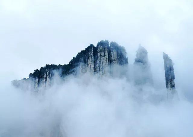 植物大战僵尸2